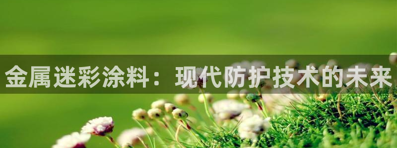 美高梅酒店何超琼