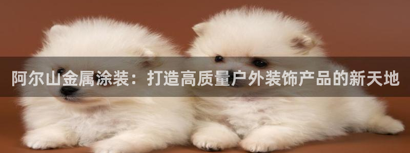 美高梅酒店集团简介