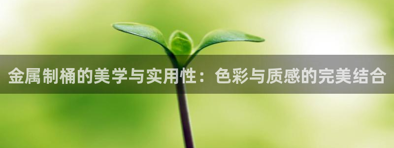 美高梅公司位置