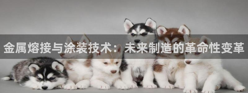 美高梅中国何超琼