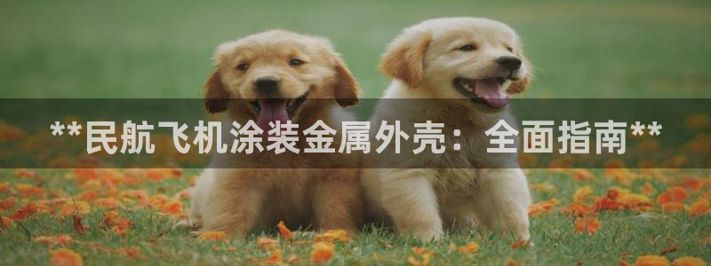 美高梅呈献郑伊健音乐会