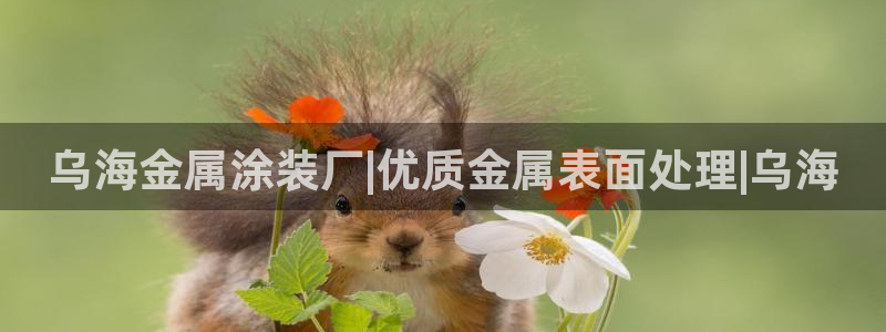 美高梅酒店层高