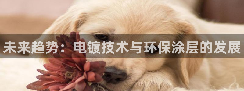 美高梅游戏攻略